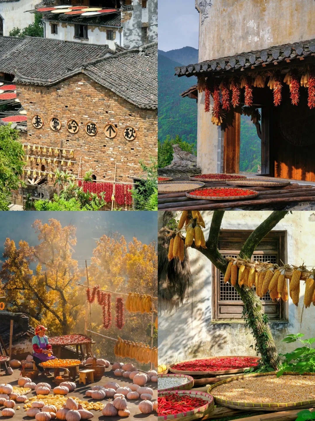 直到去一次婺源篁岭，才真正见识人间仙境啊_2_锦鲤~小红薯_婺源-古镇-来自52tours 我爱旅游网